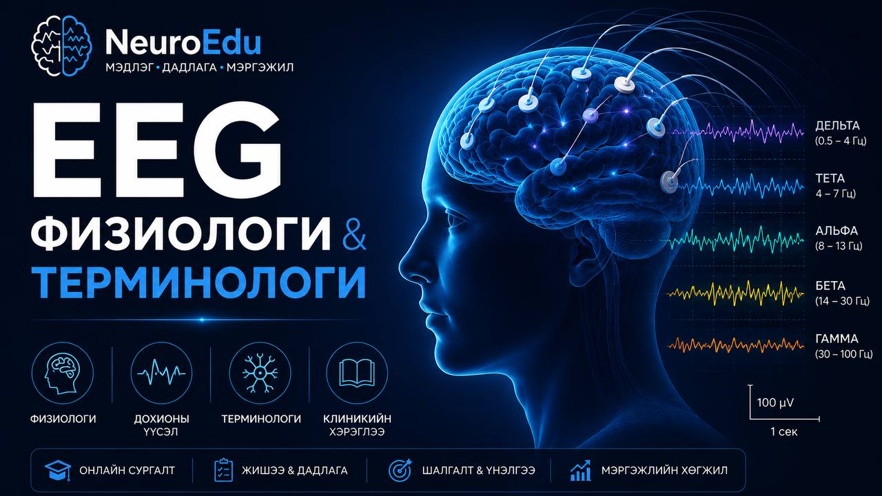 01 ЭЭГ-ийн физиологийн үндэс ба нэр томьёо